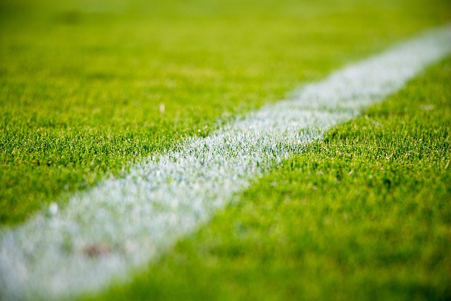 artificial grass, turf