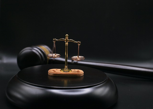 lawyer, law, courtroom, contract