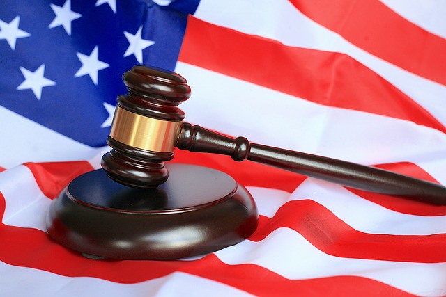 license, law, lawyer