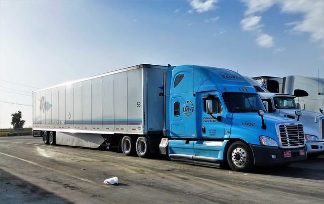 truck, trucking, truck driver