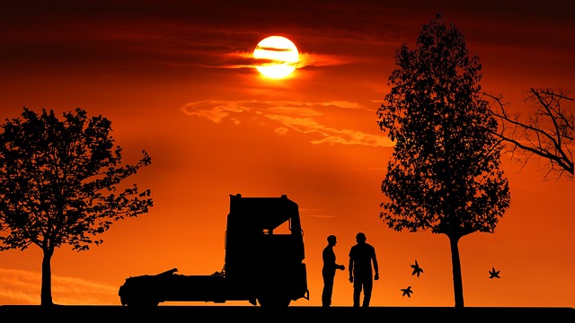 truck, trucking, truck driver