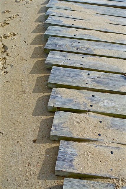 walkway, pathway