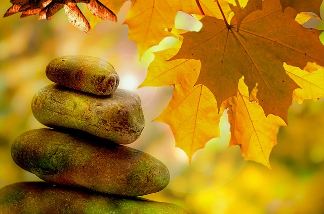 health and wellness