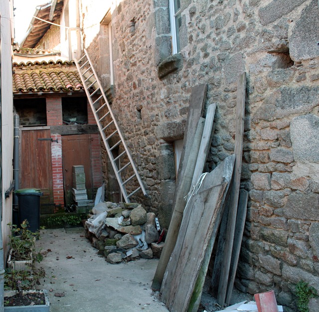 yard, landscaping
