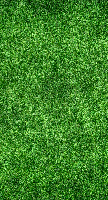 artificial grass, turf