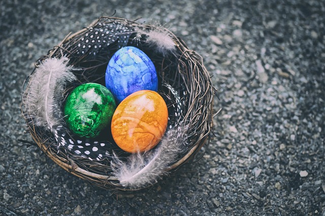 Eco-Friendly Bird Nest Management: Safe, Humane Solutions Near You