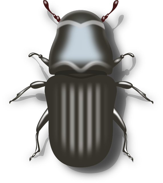 cockroach-640x480-80306815.png