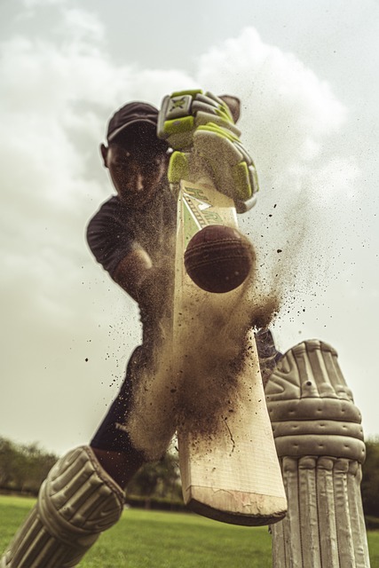 Discreet Cricket Extermination: Professional, Eco-Friendly Solutions for Minimal Disruption
