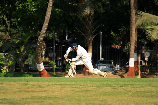 Eco-Friendly Cricket Solutions for Safe and Effective Control