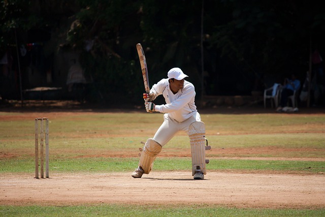 Eco-Friendly Cricket Solutions: Humane Control for Residential and Commercial Spaces