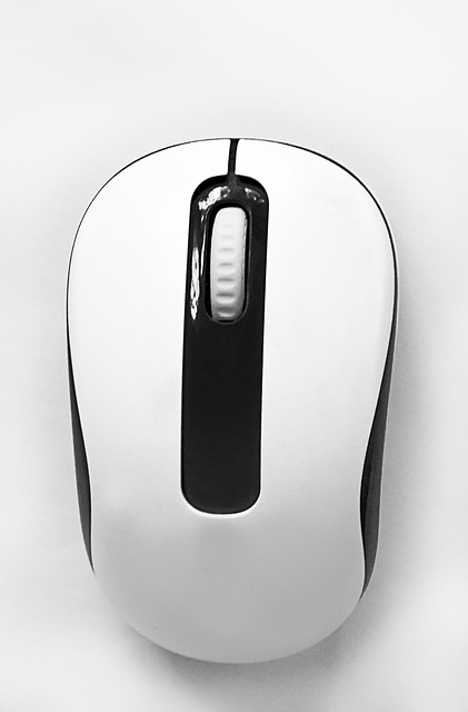 mouse-640x480-58290155.jpeg