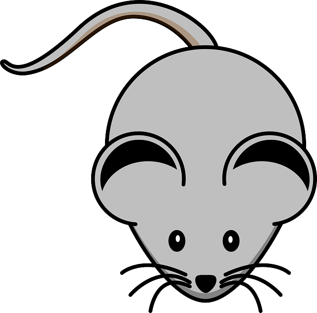 mouse-640x480-68759933.png