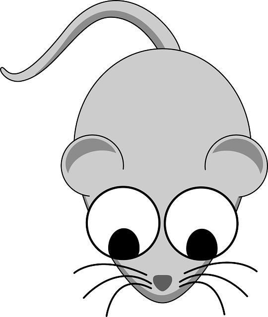 mouse-640x480-71474140.png