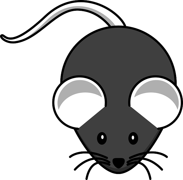 mouse-640x480-90093945.png