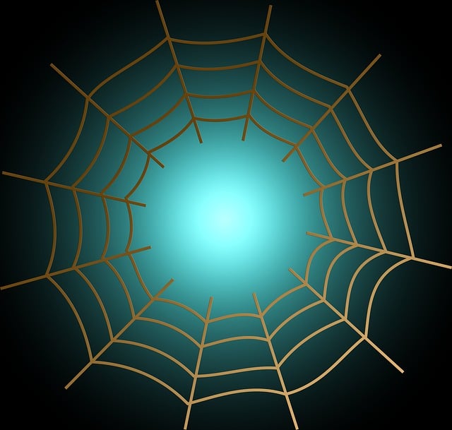 spider-spider-web-640x480-72246876.jpeg