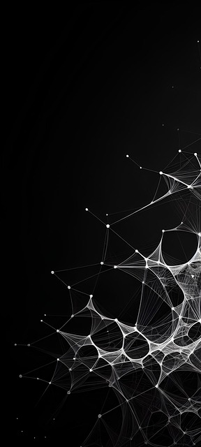 spider-spider-web-640x480-90406704.jpeg