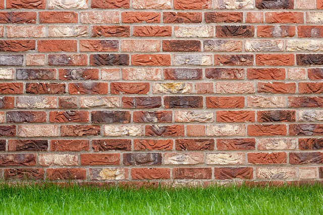 garden, wall garden, vertical garden