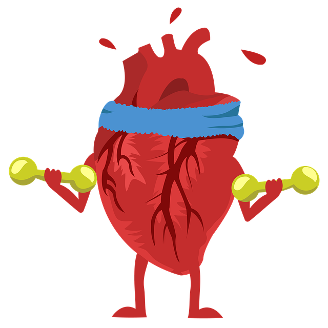 health and wellness