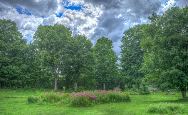 landscaping