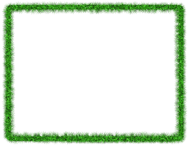 lawn
