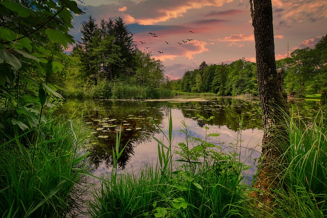 pond, outdoor pond, outdoor waterfall