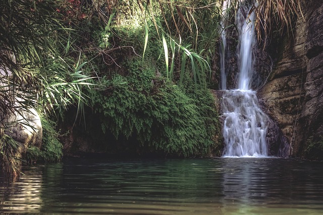 pond, outdoor pond, outdoor waterfall