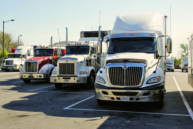 truck, trucking, truck driver