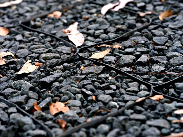 walkway, pathway