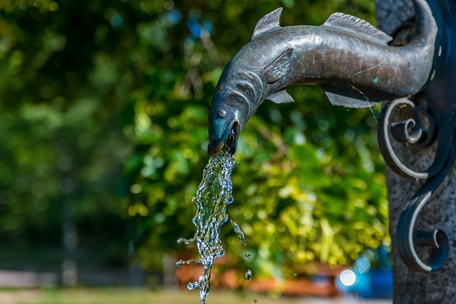 water feature, landscaping