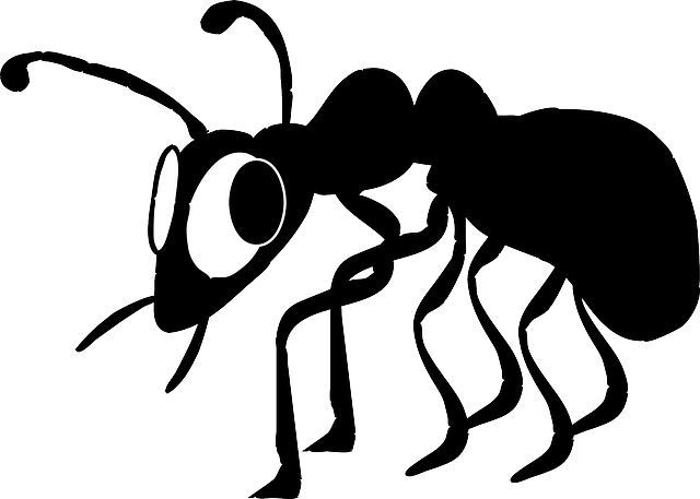 ant-640x480-45162080.png