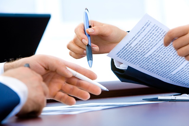 business license, law, lawyer, business, company