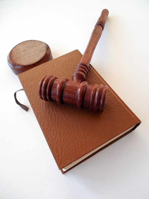business license, law, lawyer, business, company