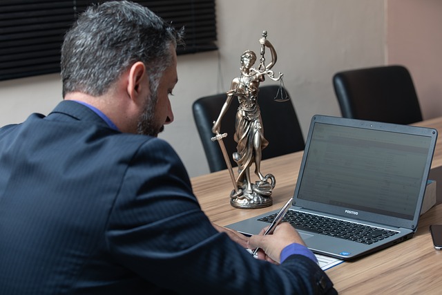 business license, law, lawyer, business, company