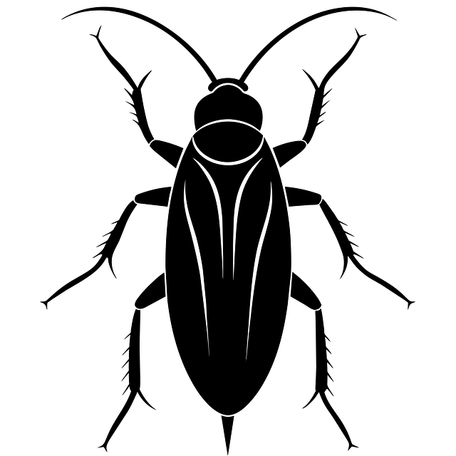 cockroach-640x480-57476051.png