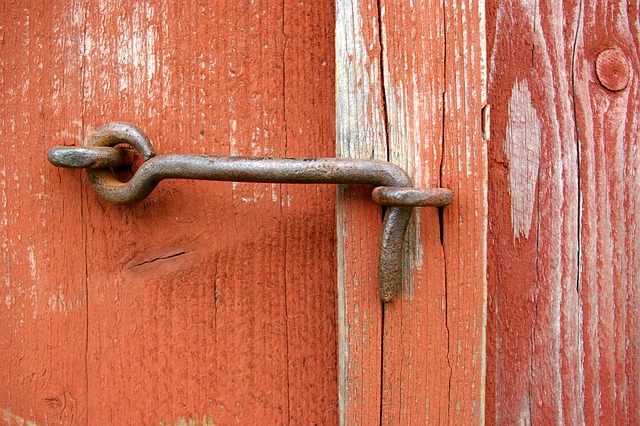 door, door lock, door access