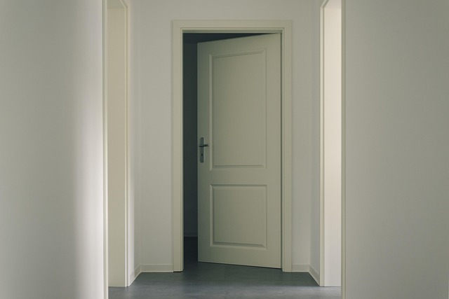 door, door lock, door access