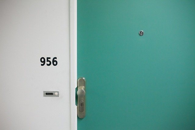 door, door lock, door access