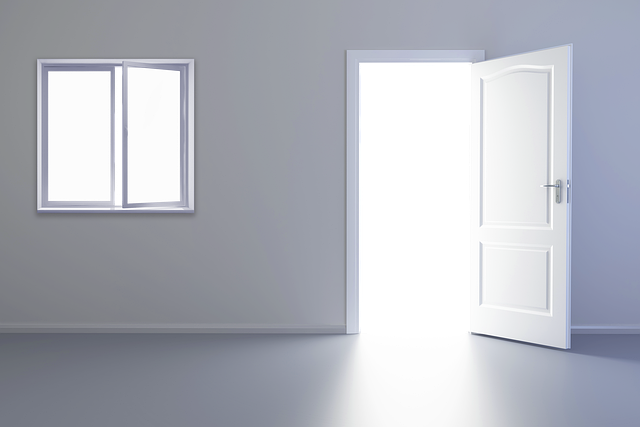 door, door lock, door access
