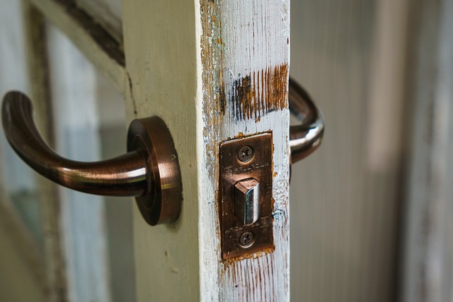 door, door lock, door access