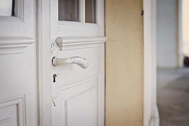 door, door lock, door access