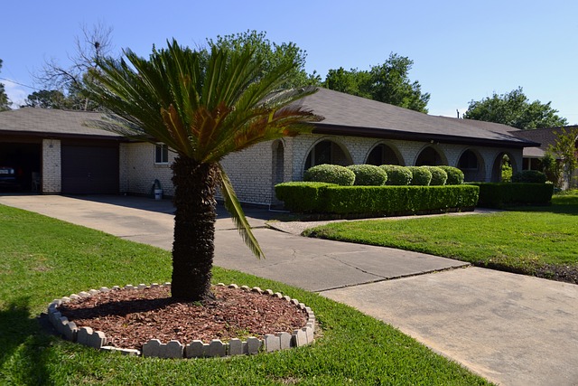 driveway