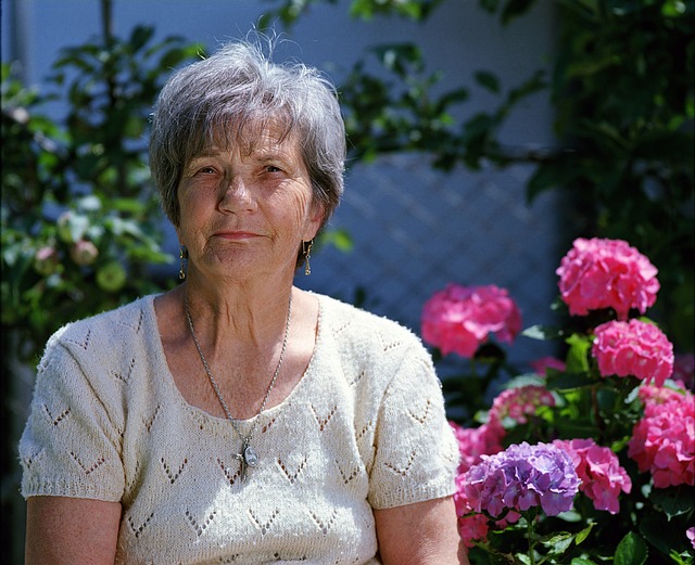 elder-people-senior-tax-640x480-78516807.jpeg