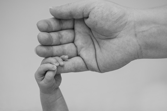 family, baby, pregnant