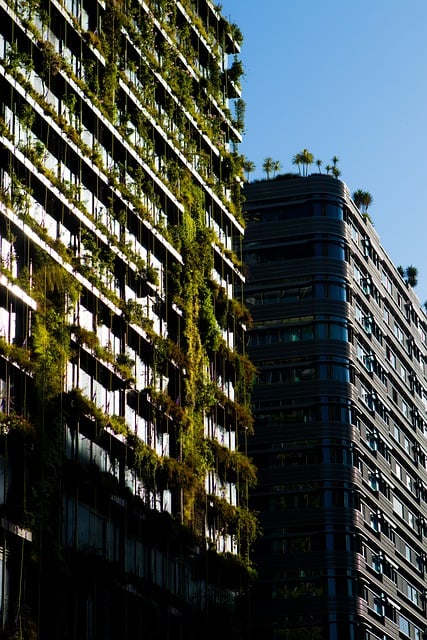 garden, wall garden, vertical garden