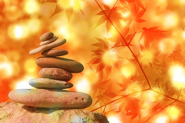 health and wellness