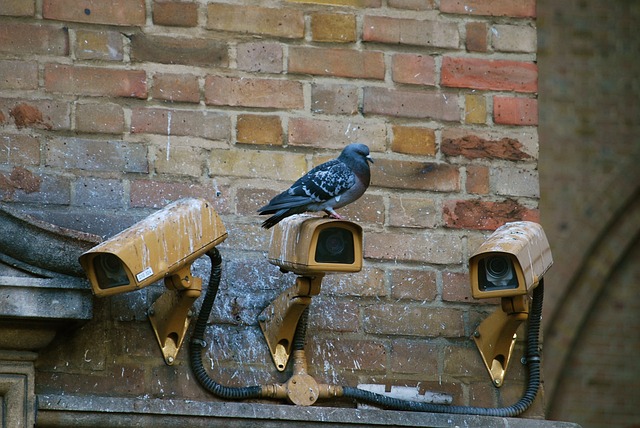 home security, cctv