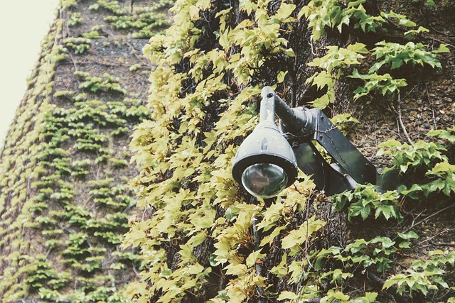 home security, cctv, surveillance
