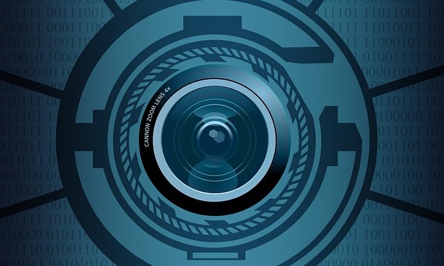 home security, cctv, surveillance, house