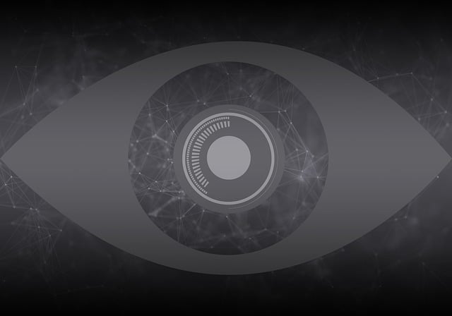 home security, cctv, surveillance, house