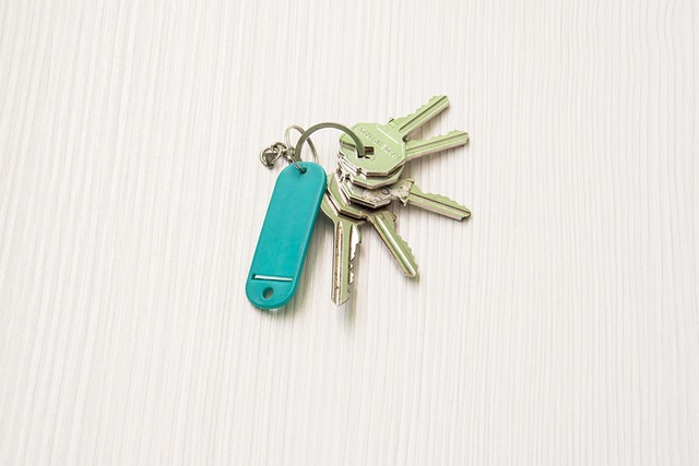 house, door lock, home security, home lock, apartment, condominium